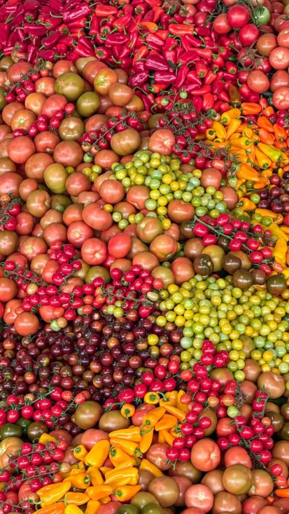 Colorful display of assorted tomatoes and peppers, showcasing freshness and variety.