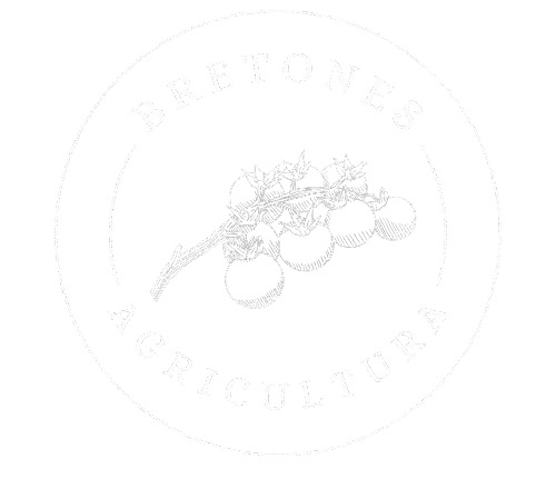 Descubre tomates de calidad, frescos y sabrosos de Almería. Variedades gourmet cultivadas con tradición y cuidado para tu mesa.